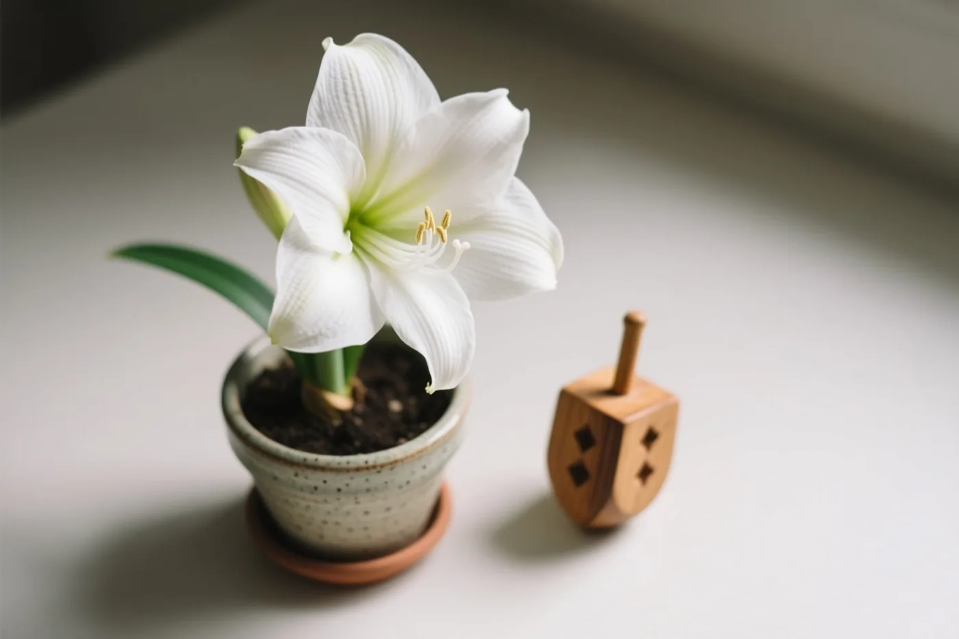 Een witte amaryllis in een gespikkelde keramische pot staat op een licht oppervlak naast een houten dreidel, met een wazige achtergrond.