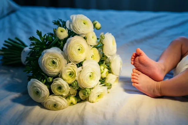 Anemonen voor piepkleine voetjes