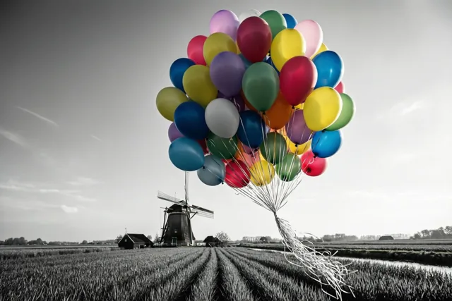 Een grote tros kleurrijke ballonnen zweeft boven een polderlandschap met een windmolen dat in zwart-wit is weergegeven.