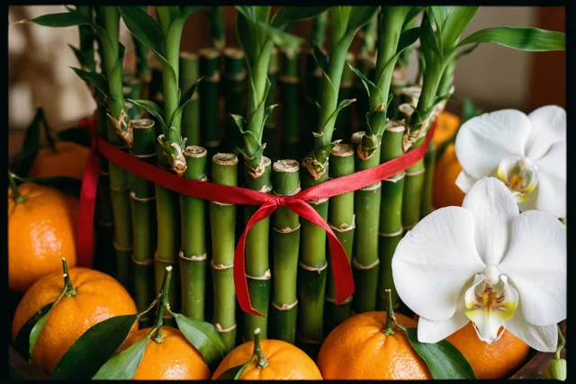 Orchideeën en bamboe brengen nieuwjaarsgeluk
