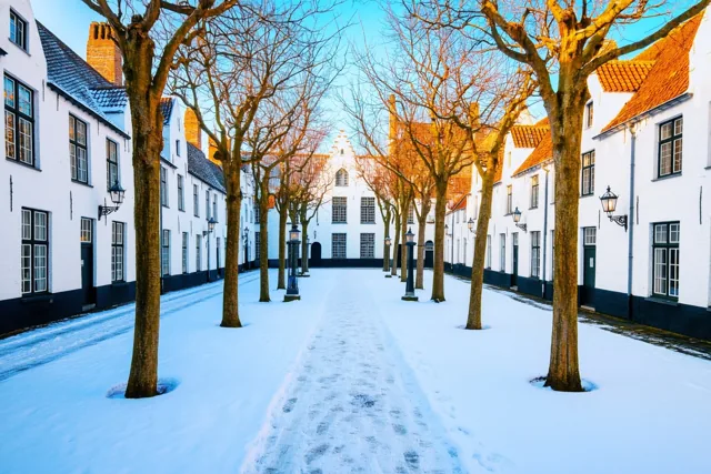 Zon op het begijnhof