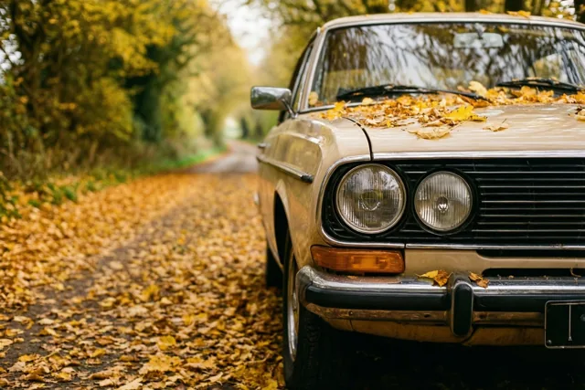 Een herfstgroet op vier wielen