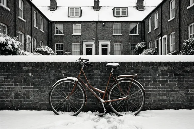 Een Vlaamse fiets in winterstilte