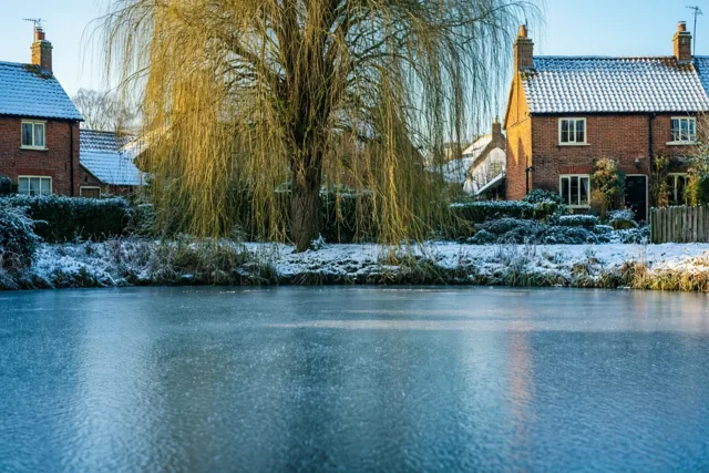 Winterrust aan de dorpsvijver