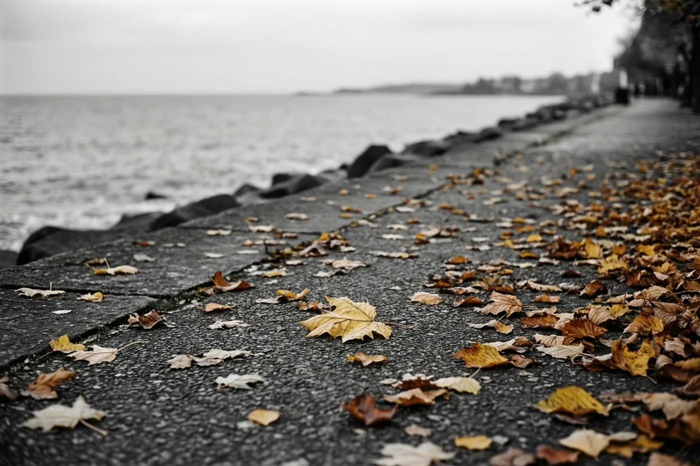 Vanuit een laag standpunt is een verharde promenade met verspreide herfstbladeren te zien die naar een grijze zee onder een bewolkte hemel leidt.