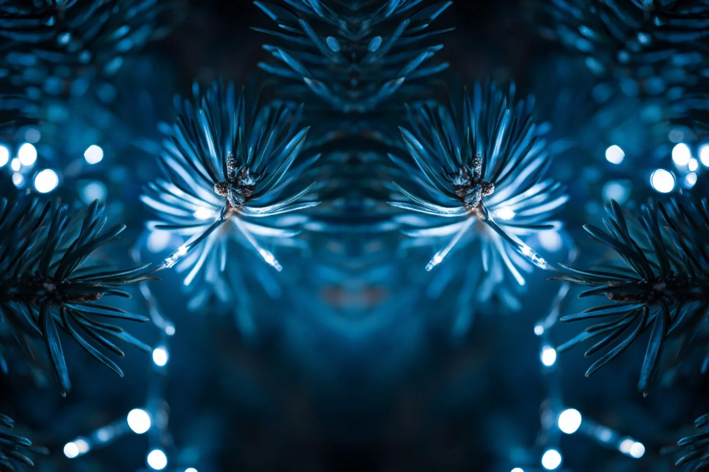 Tussen donkere dennennaalden zijn onscherpe blauwe lichtjes te zien in een beeld met diepblauwe en zwarte tinten.