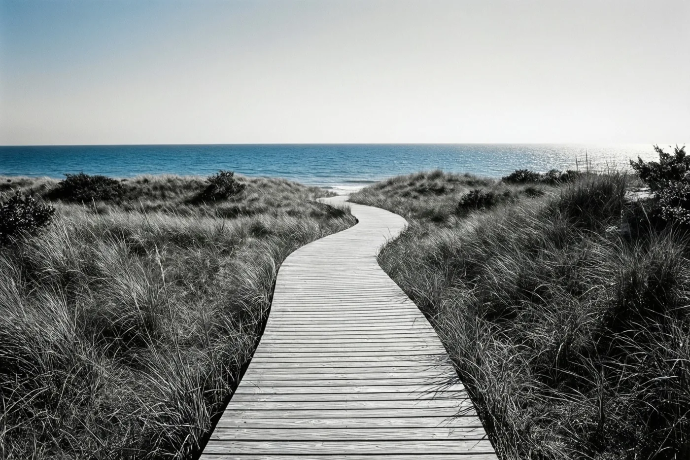 Een houten vlonderpad loopt door grasrijke duinen naar zee onder een heldere hemel, waarbij alleen de zee blauw is en de rest zwart-wit.