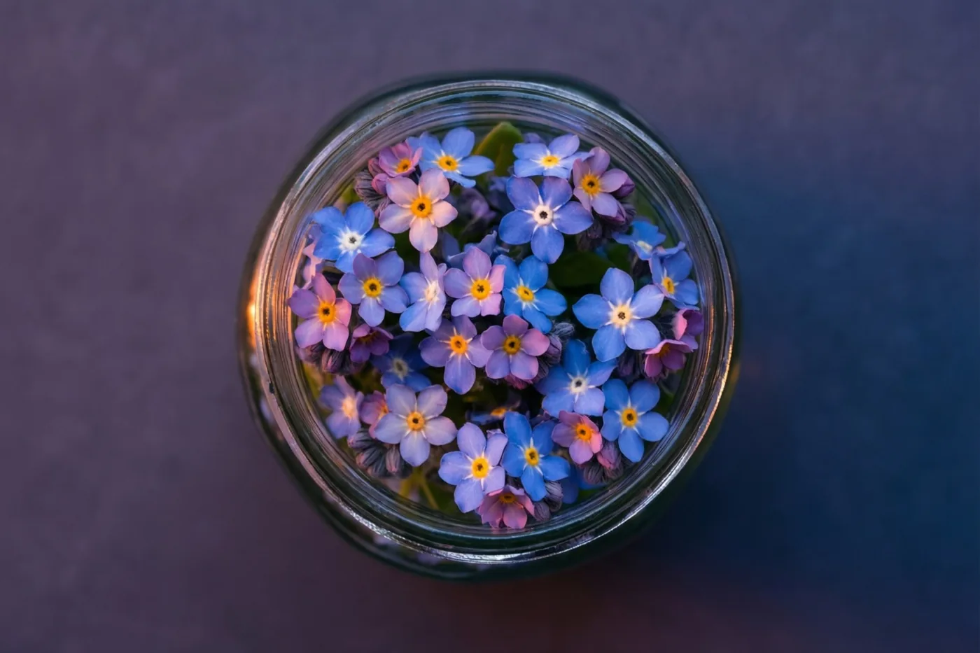 Van bovenaf is een klein glazen potje met vergeet-mij-nietjes te zien tegen een donkerpaarse achtergrond, met blauw, paars en geel als hoofdkleuren.