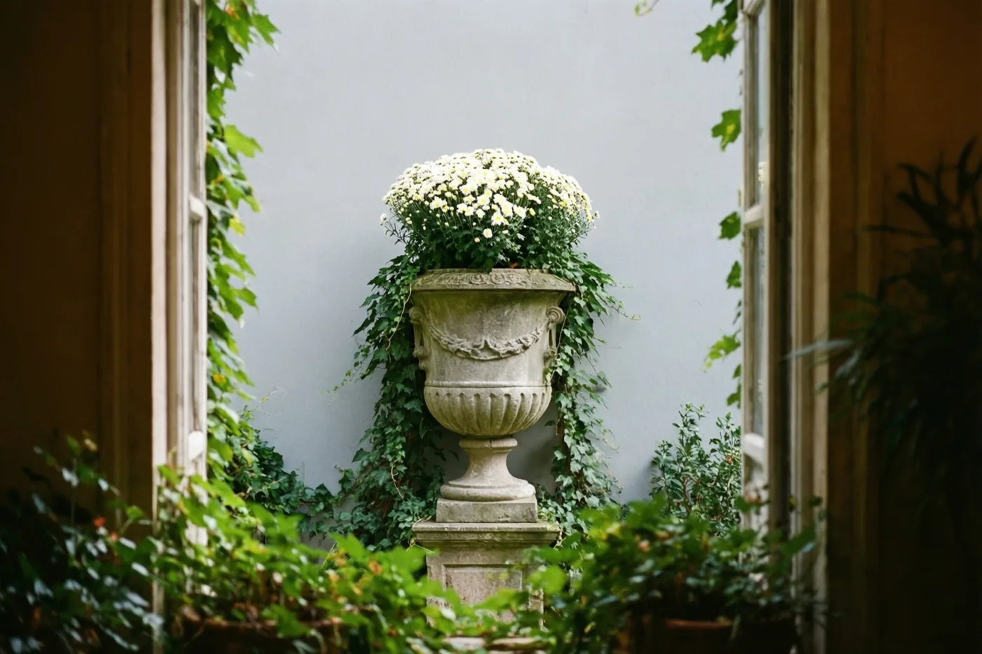 Door een raam is een stenen urn vol witte chrysanten en klimop te zien tegen een lichtgrijze muur, omringd door groen gebladerte.