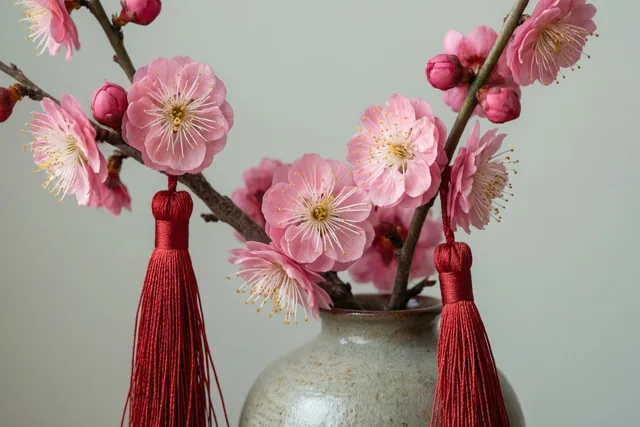 Een vaas met een tak roze pruimenbloesems, enkele knoppen en twee rode zijden kwasten staat tegen een lichtgrijze achtergrond.