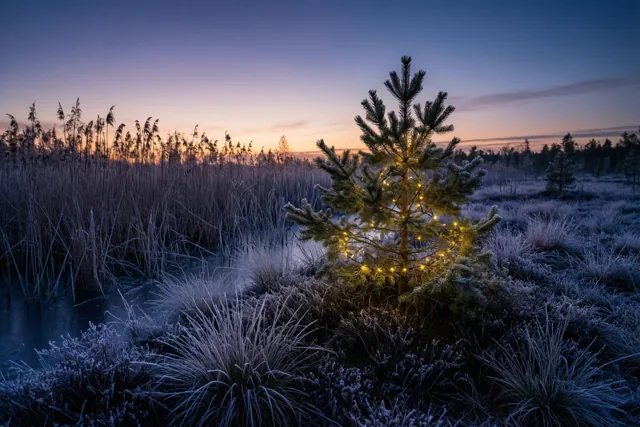 Een lichtpuntje aan de oever