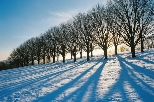 Lange schaduwen op een winterdag