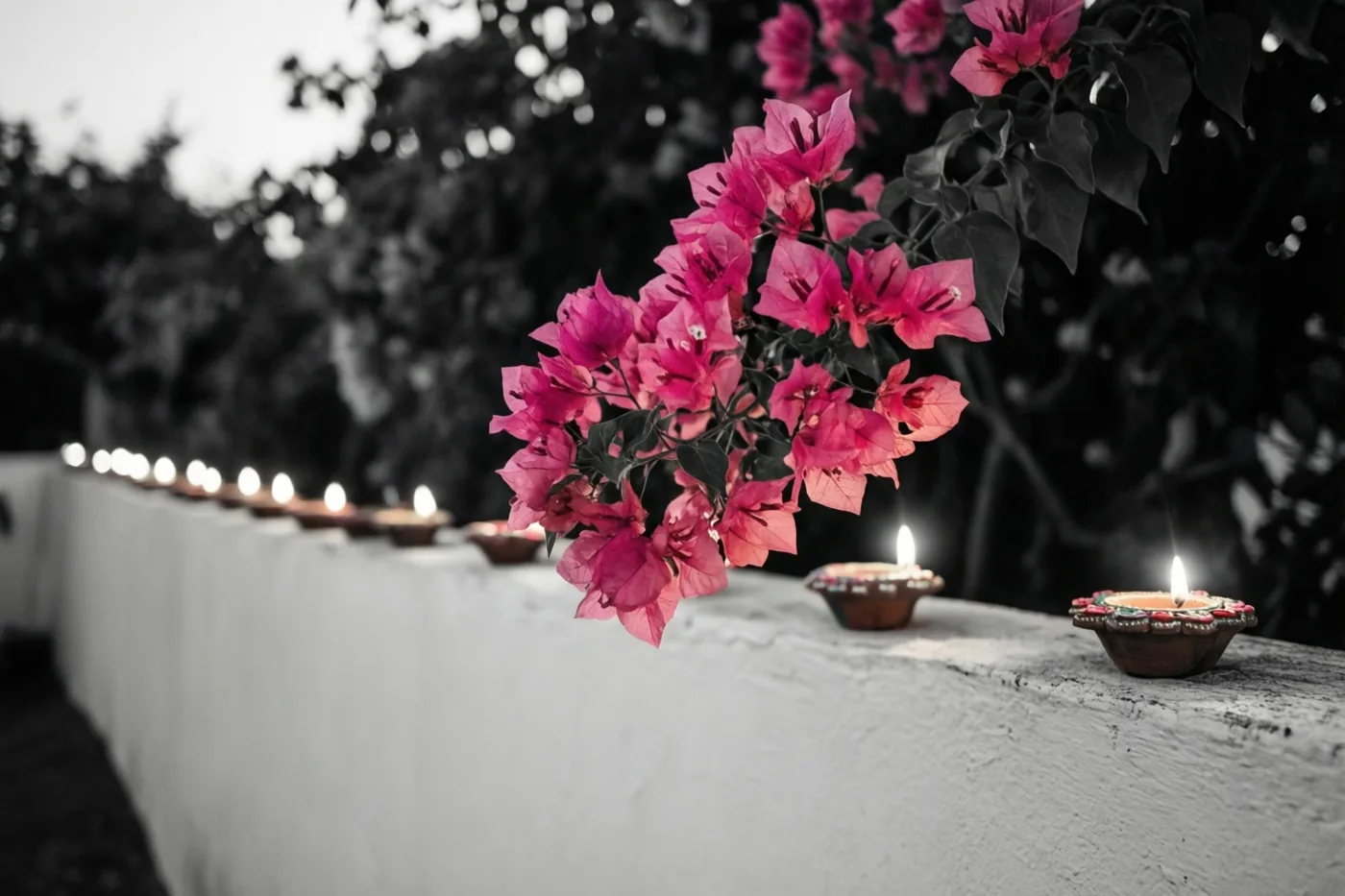 Felroze bougainvillea hangt over een witte muur met een rij brandende olielampjes bij schemering, tegen een zachte, effen achtergrond.