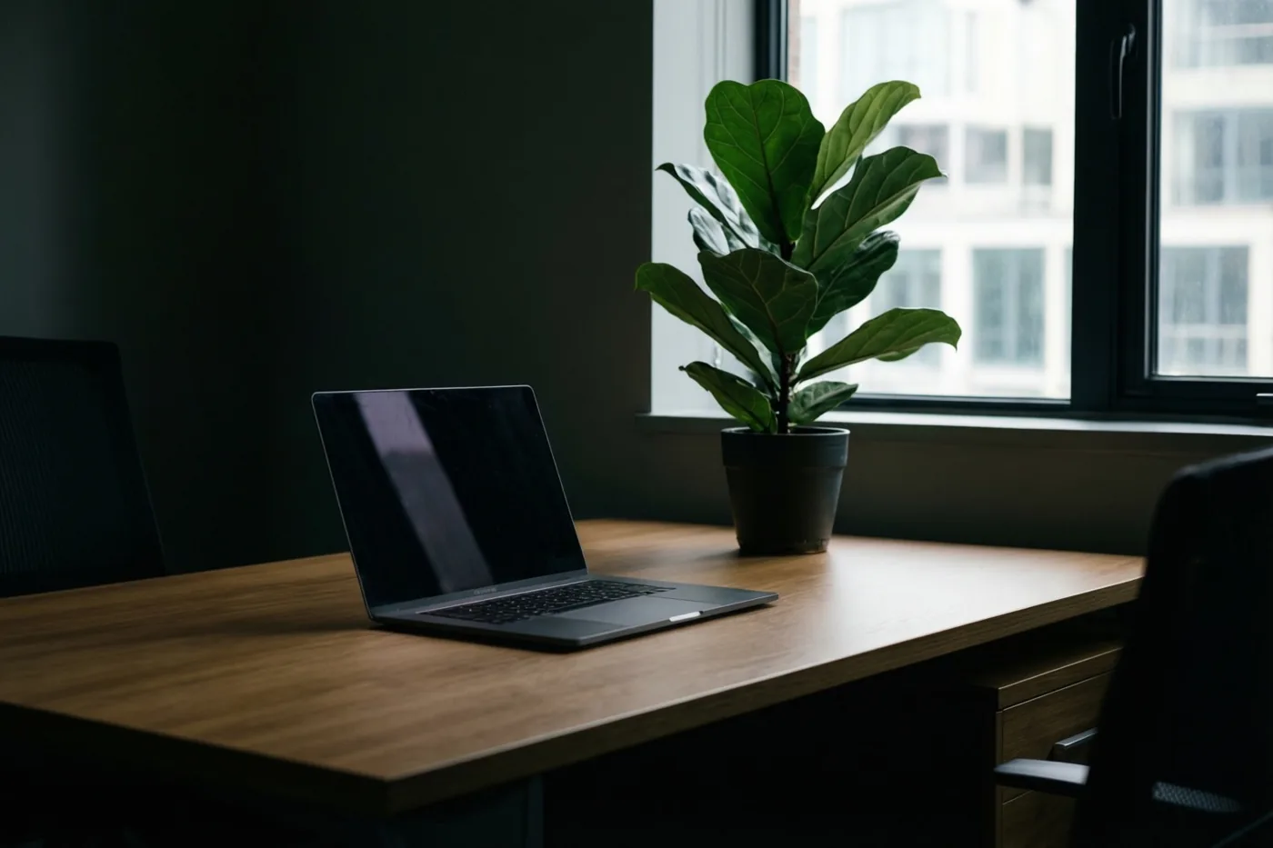 Een sober bureau van licht hout met een gesloten laptop en een vioolbladplant in een pot staat bij een raam in een kamer met donkere muren.