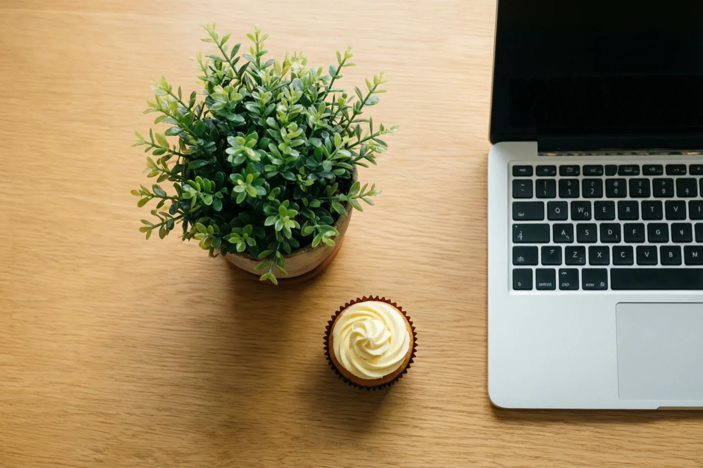 Een plantje in een pot en een cupcake staan op een houten bureau naast een laptop, in houtkleurige, groene en crèmekleurige tinten.