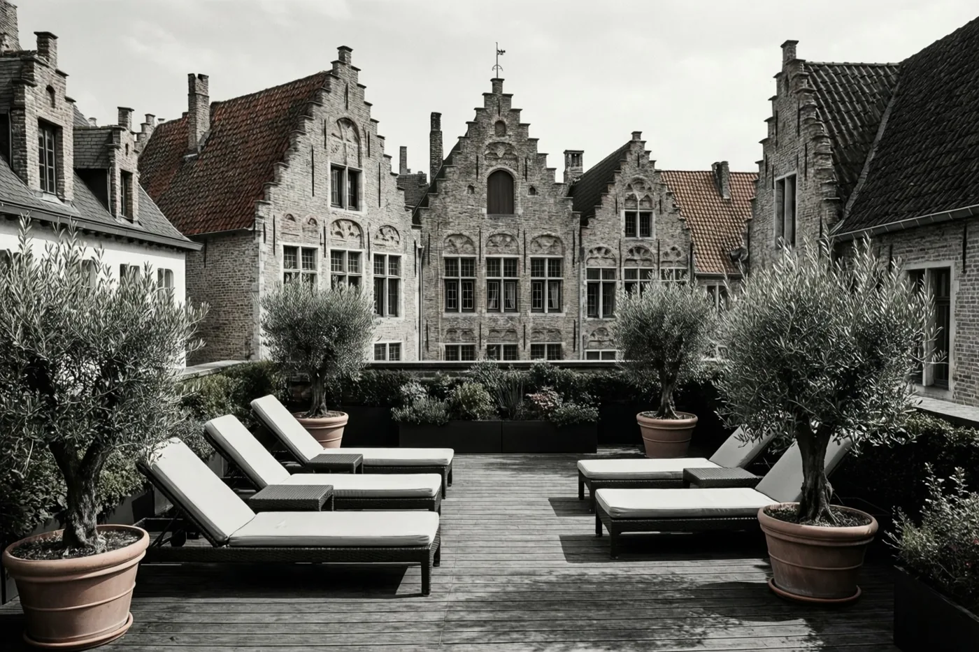 Een dakterras met ligstoelen en olijfbomen in potten kijkt uit op historische Vlaamse gebouwen met trapgevels, in zwart-wit met sepiatinten op de potten en het hout.