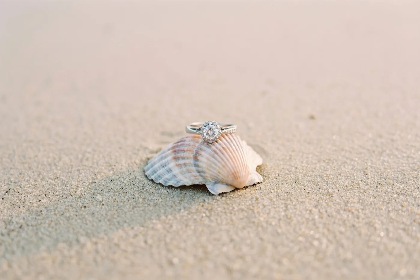 Een verlovingsring met een centrale diamant en een krans van kleinere stenen ligt op een schelp in het strandzand in zacht warm licht.