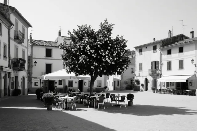 Een zwart-witfoto toont een zonnig dorpsplein met een grote boom vol fruit, cafétafels onder parasols en gebouwen met luiken en balkons.