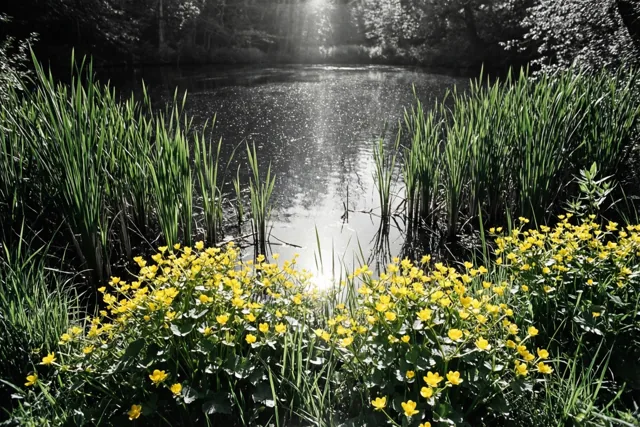 Een geel accentje lente