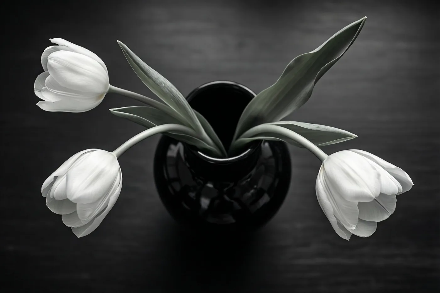 Drie witte tulpen staan in een zwarte vaas tegen een donkere achtergrond.