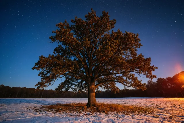Warm licht in de winternacht