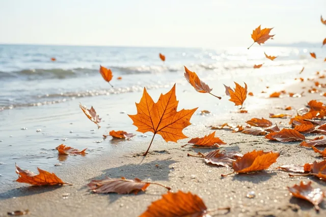 Zonnige herfst aan zee