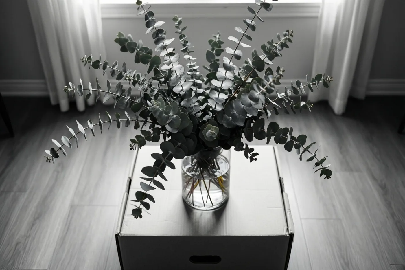 Een monochroom beeld toont een eucalyptustak in een glazen vaas op een kartonnen verhuisdoos, op een lichte houten vloer in een sober ingerichte kamer.