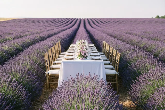 Op jullie geluk tussen de bloemen