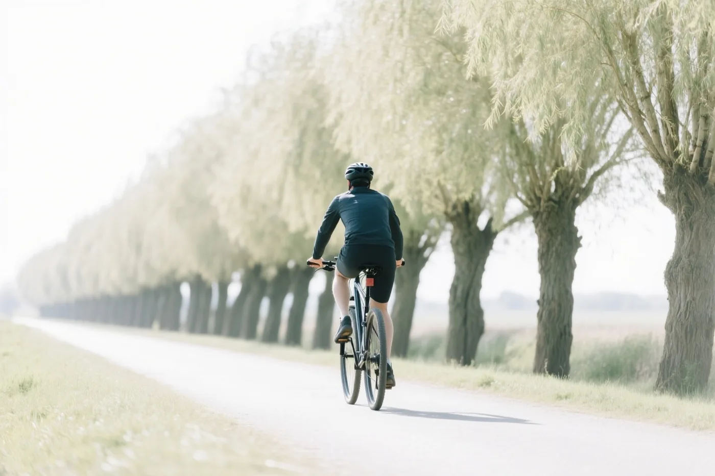 Een fietser met een helm en donkere kleren rijdt weg over een verharde weg tussen knotwilgen in helder, nevelig ochtendlicht.