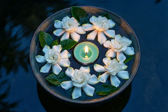 Bloemen rond een herinnering