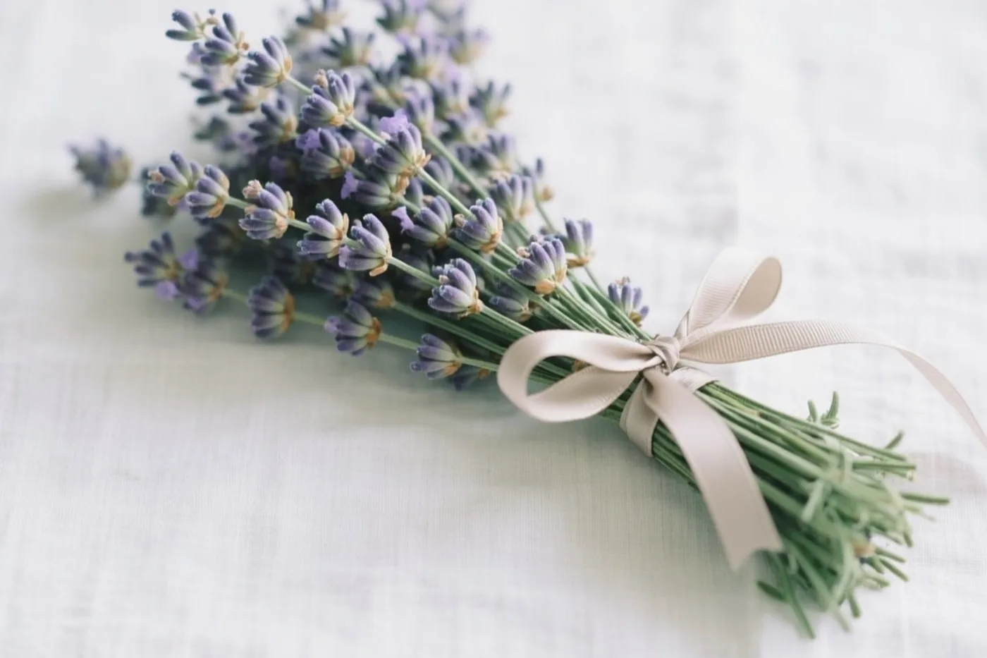 Een bundeltje gedroogde lavendel met een beige lint ligt op een witte linnen doek in zacht licht.