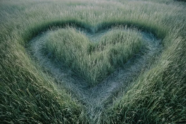 Een hart in het hoge gras
