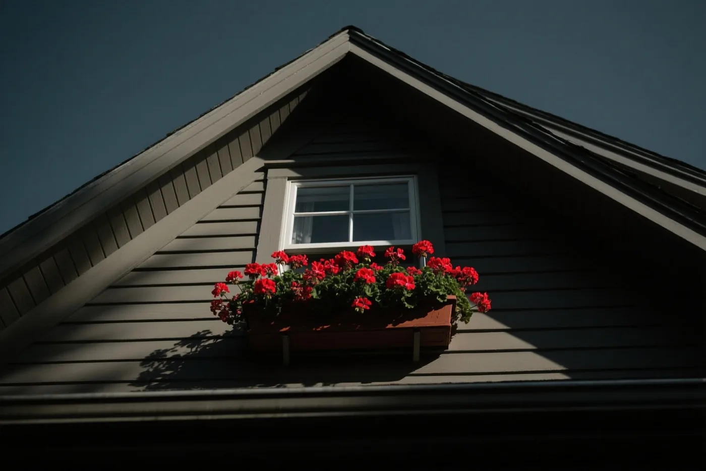Een bloembak met felrode geraniums staat onder een raam met een wit kozijn in een donkergrijs trapgevelhuis tegen een diepblauwe lucht.