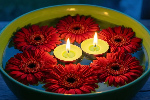 Gerbera's voor een warme avond