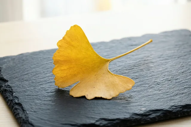 Een gouden herfstgebaar