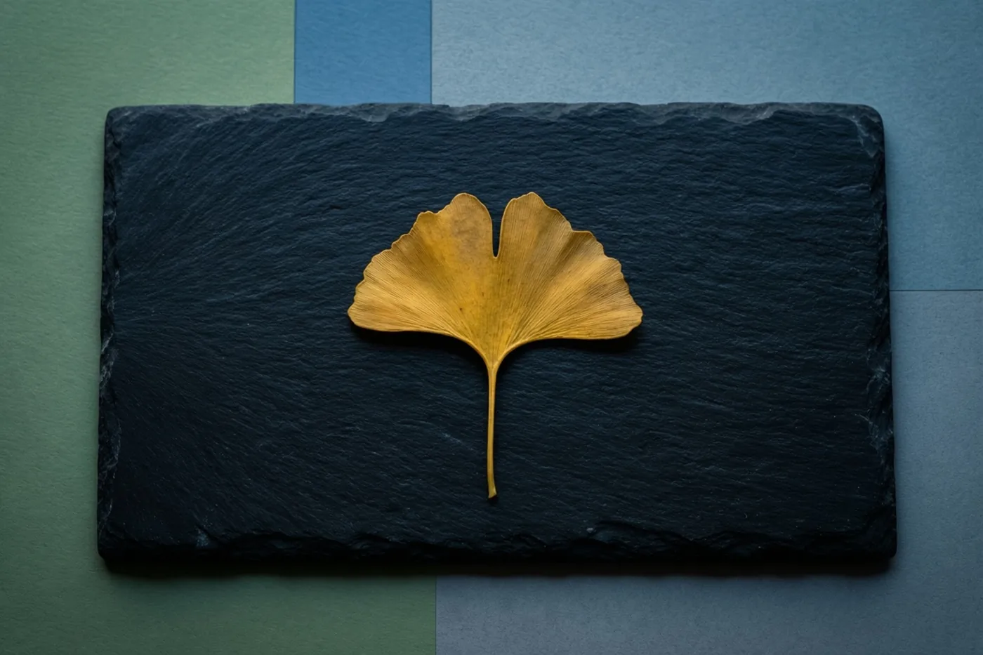 Een goudkleurig ginkgoblad ligt midden op een zwarte leisteen, met eronder panelen in gedempte groene en blauwe tinten.