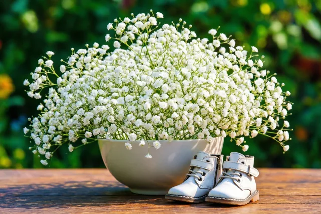 Bloemetjes voor kleine voetjes