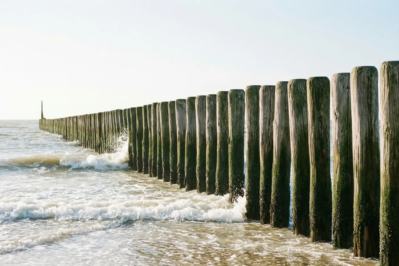 Een rij verweerde houten palen loopt als golfbreker de zee in, met golven die ertegen slaan onder een bleke hemel.