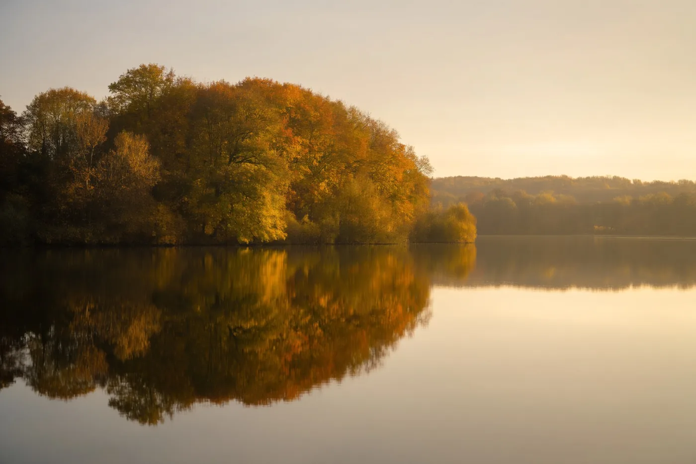 Een rustig meer weerspiegelt bomen met goudgele en oranje herfstbladeren onder een zacht nevelige hemel in warm licht.