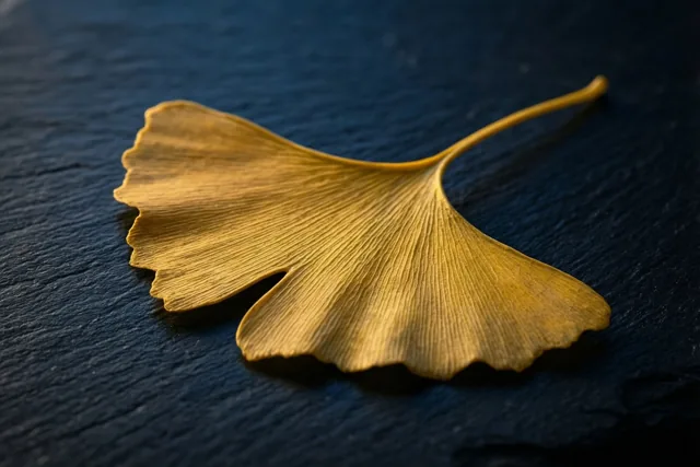 De herfst in één blad