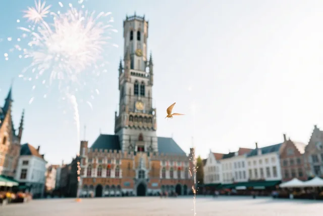Met gouden vleugels vooruit