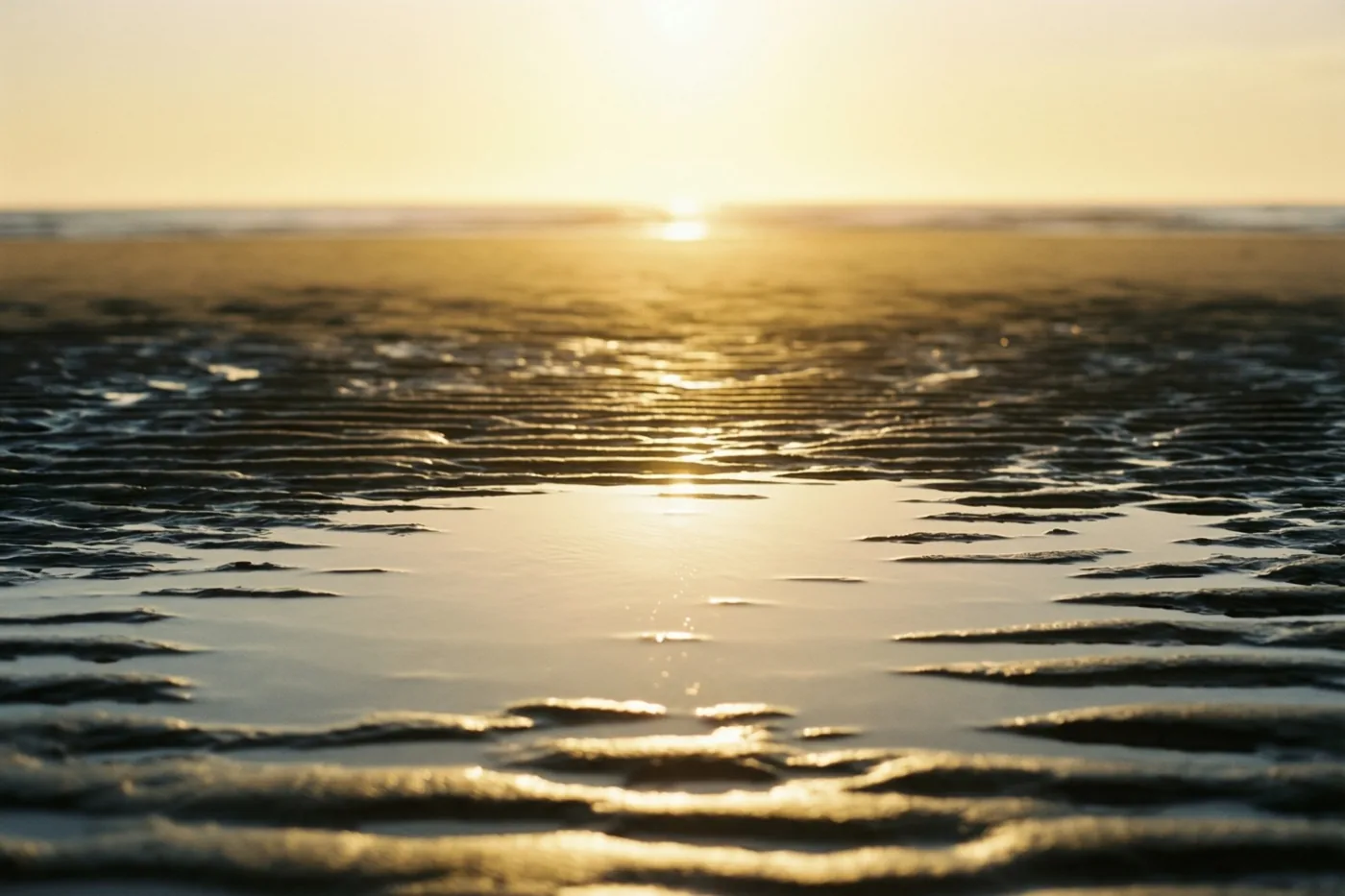 Ondiepe waterplassen op een breed strand bij eb weerspiegelen de zonsopgang in goudgele, zachtoranje en gedempte bruine tinten.