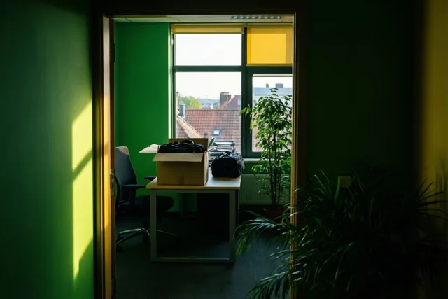 Een deuropening geeft zicht op een kantoor met groene muren, een bureau, kartonnen doos en potplant bij een zonovergoten raam met uitzicht op daken.