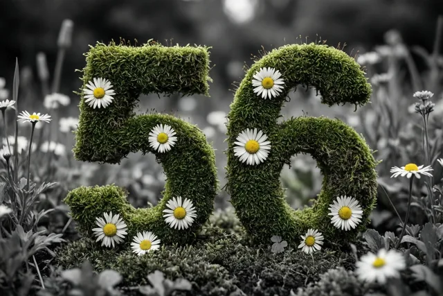 Het getal 56 van groen mos met witte madeliefjes staat in een landelijke tuin, waarbij het mos en de bloemen in kleur afsteken tegen een zwart-witachtergrond.