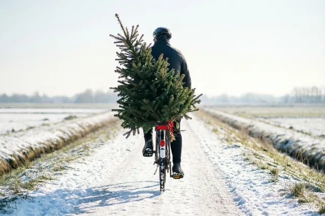 Kerst op de bagagedrager