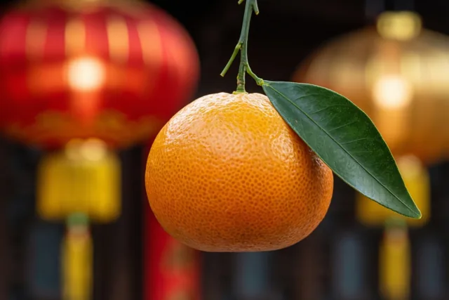 Een warm oranje jaarbegin