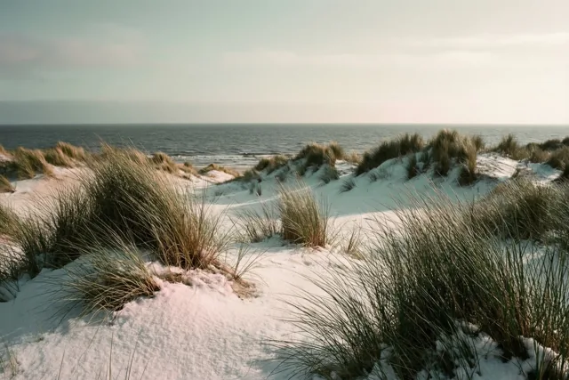 Sneeuw op de zeeduinen