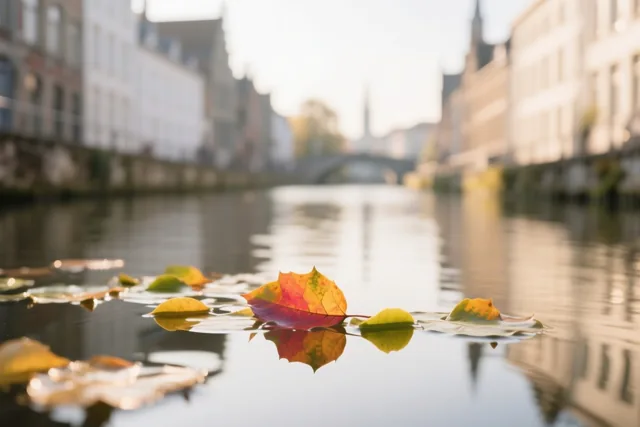 Een blaadje door Gent
