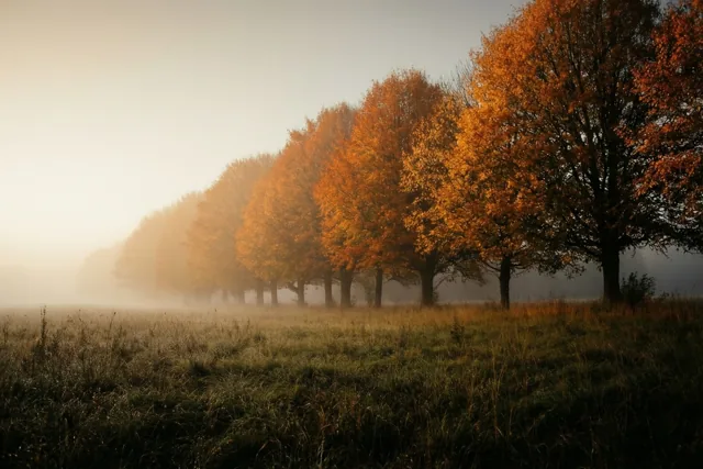 Een zachte herfstmorgen