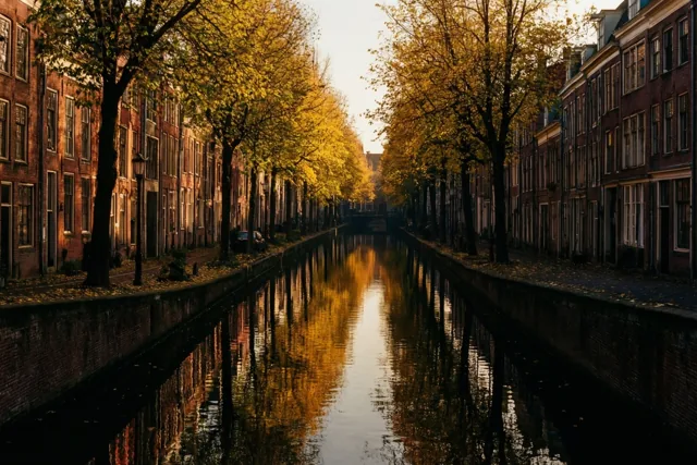 Een gouden ochtend aan de reien